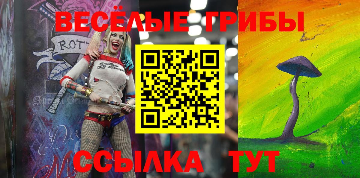 Псилоцибиновые грибы GOLDEN TEACHER  Вход с VPN  закладка  Джанкой  Псилоцибиновые грибы мицелий 
